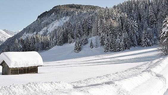 Seefeld       -  Auf gespurten Wegen geht es voran.