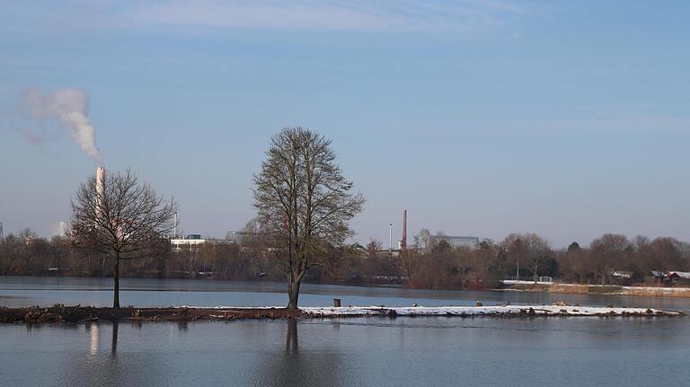 Die Insel im Baggersee der Schweinfurter Naherholungsanlage wurde im Winter 2018 auf Stock geschnitten, so dass hernach weniger Gänse dort siedelten.