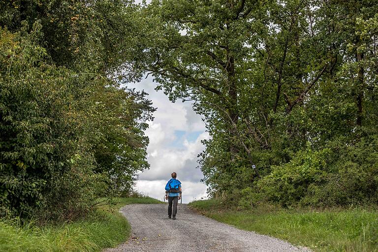 Die Wanderung führt mitten durch die Natur.&nbsp;