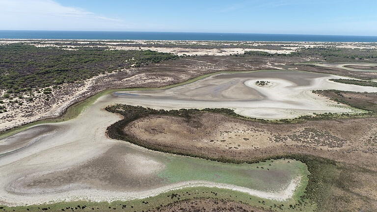 Spaniens Feuchtgebiet Coto de Doñana ausgetrocknet.jpeg       -  Spaniens Feuchtgebiet Coto de Doñana war schon im vergangenen Jahr ausgetrocknet.