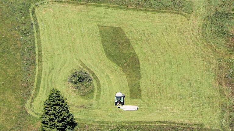 Mäht ein Landwirt die Wiese von außen nach innen haben Wildtiere wie Birkhühner kaum eine Chance zu entkommen.