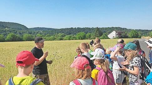 Die Klassen 3a und 3b der Johannes-Petri-Schule besuchten den Potatis-Hof.       -  Die Klassen 3a und 3b der Johannes-Petri-Schule besuchten den Potatis-Hof.