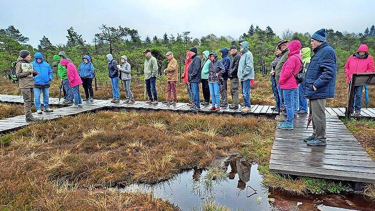 Trotz Kälte und Nieselregens führte Naturpark-Rangerin Martina Faber (links) die rund 30 Teilnehmerinnen und Teilnehmer durch das Schwarze Moor. - Trotz Kälte und Nieselregens führte Naturpark-Rangerin Martina Faber (links) die rund 30 Teilnehmerinnen und Teilnehmer durch das Schwarze Moor. Trotz Kälte und Nieselregens führte Naturpark-Rangerin Martina Faber (links) die rund 30 Teilnehmerinnen und Teilnehmer durch das Schwarze Moor. - Trotz Kälte und Nieselregens führte Naturpark-Rangerin Martina Faber (links) die rund 30 Teilnehmerinnen und Teilnehmer durch das Schwarze Moor.