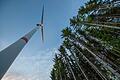 Auf Himmelstadt Gemeindegebiet wird es keine Windräder geben, wohl aber auf Privatgrund im selben Waldstück.&nbsp;