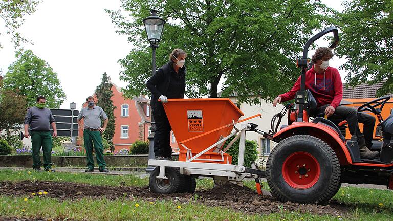 Die Stadtgärtnerei Gerolzhofen will weitere Farbe auf ihre Grünflächen bringen. Im Hintergrund beobachten (von links) Michael Finster und&nbsp;André Ditterich von der Stadtgärtnerei, wie Gabi Gilch und Job de Koning mit Hilfe der 'Blumenzwiebelpflanzmaschine' Lilienzwiebeln in den Boden pflügen.