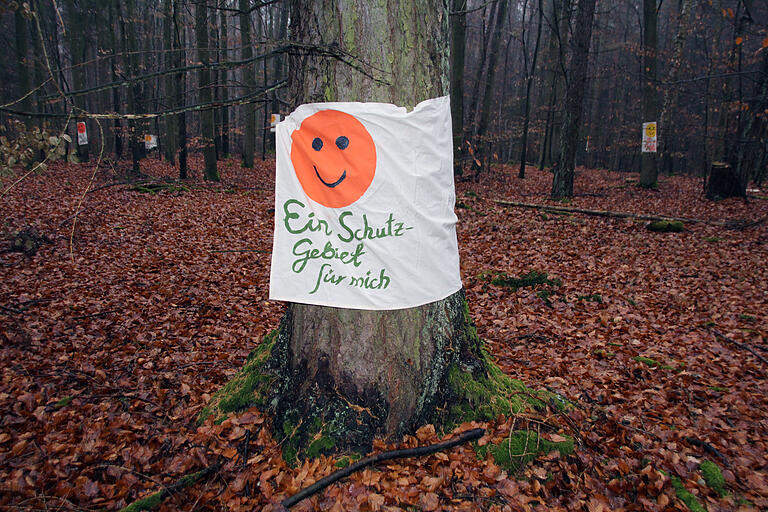 Warum Forstbetrieb-Mitarbeitern der Kragen platzt       -  Bei einer Protestaktion forderten Umweltschutzverbände im Dezember einen Fällstopp für dicke Bäume in dem ehemaligen Waldschutzgebiet, wo jetzt die Forstwirtschaft wieder aufgenommen wird.