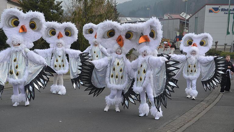 Tierisch gut, diese Eulen beim Frammersbacher Faschingszug.