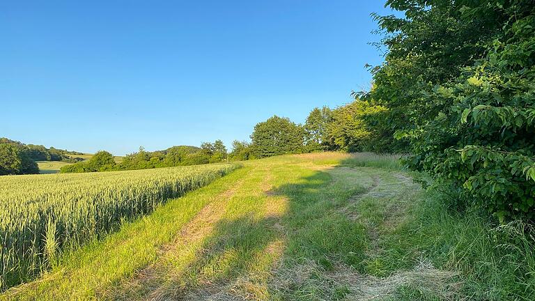 Die Stadt Marktheidenfeld fasst ein Grundstück am Nordring 10 als möglichen Standort für ein neues Wasserwerk ins Auge. Die Stadt Marktheidenfeld fasst ein Grundstück am Nordring 10 als möglichen Standort für ein neues Wasserwerk ins Auge.