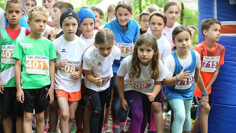 So wie im vergangenen Jahr werden auch beim diesjährigen Einsiedel-Waldlauf rund 500 Starter in verschiedenen Alters- und Anforderungsklassen erwartet. So wie im vergangenen Jahr werden auch beim diesjährigen Einsiedel-Waldlauf rund 500 Starter in verschiedenen Alters- und Anforderungsklassen erwartet.