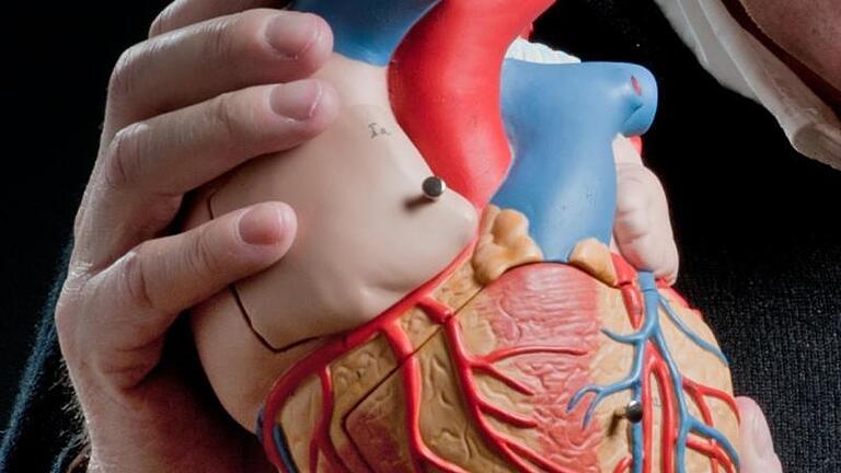 In den östlichen Bundesländern sterben deutlich mehr Menschen an einem Herzinfarkt als im Westen. Dort gibt es auch eine geringere Dichte an Kardiologen. Foto: Tobias Hase       -  Lebenswichtig: Funktioniert das Herz nicht mehr, sollte schnell gehandelt werden.