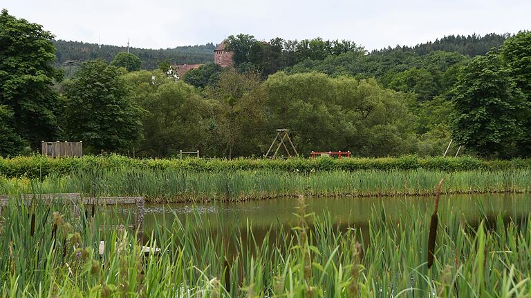 Der Spielplatz in Rieneck liegt idyllisch am Parksee und bietet viel Platz zum Toben.