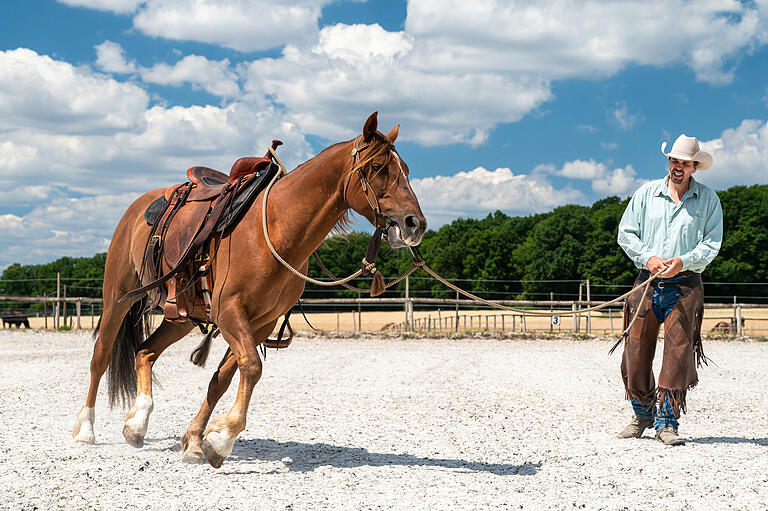 Sunny oder Mr. Mustang, wie ihn Pferdetrainer Joshua Burke auch gerne nennt, hat in zwei Monaten viel gelernt und sich an die Menschen und den Reiterhof in Brebersdorf gut gewöhnt. Sunny oder Mr. Mustang, wie ihn Pferdetrainer Joshua Burke auch gerne nennt, hat in zwei Monaten viel gelernt und sich an die Menschen und den Reiterhof in Brebersdorf gut gewöhnt.