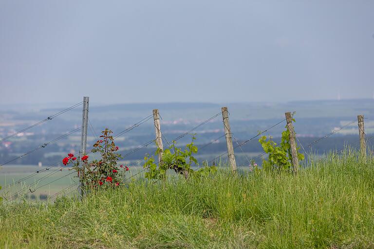 Auf dem Schlossberg, der zum Innehalten und Abschalten einlädt. Auf dem Schlossberg, der zum Innehalten und Abschalten einlädt.