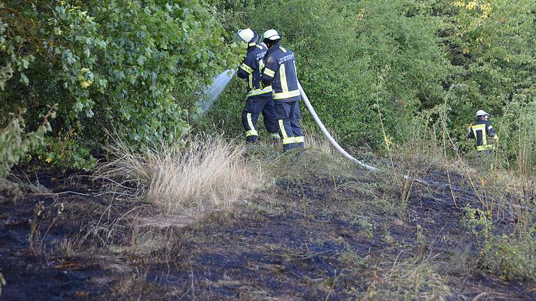 Etwa 50 Quadratmeter Grünfläche gerieten am Sonntagabend am Schulberg in Bad Neustadt in Brand. Die Feuerwehr Bad Neustadt konnte das Feuer schnell unter Kontrolle bringen.