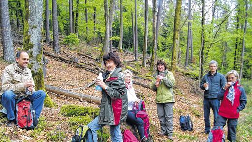 Abwechslung: Beim Fastenwandern im Spessart erleben die Teilnehmer die schöne Natur und sich selbst.