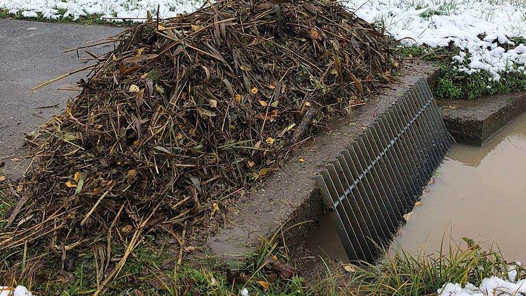 Angeschwemmt am Rechen der Hauckenmühle bei Junkersdorf nach Mäharbeiten im Oberlauf der Weisach: Das kommt aus dem Bereich der Gemeinde Maroldsweisach regelmäßig bei Hochwasser an.