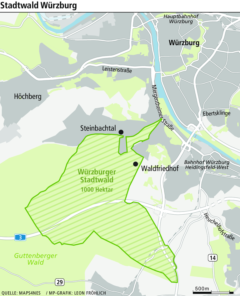 Trockenheit und Hitze: Das Baumsterben wird weiter gehen Trockenheit und Hitze: Das Baumsterben wird weiter gehen