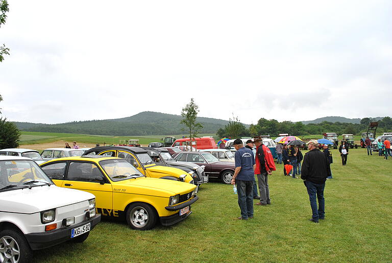 Rund 200 Fahrzeuge wurden beim Oldtimer-Treffen in Sulzfeld ausgestellt.