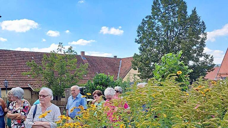 Führung durch den Bibelgarten       -  Führung durch den Bibelgarten