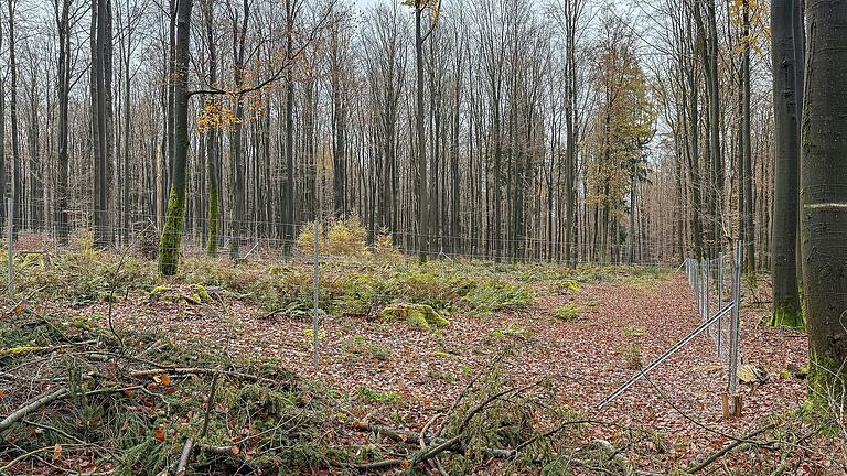 Der Waldweg 'Rotes Kreuz' war aus Versehen eingezäunt worden. Nun ist er wieder nutzbar.