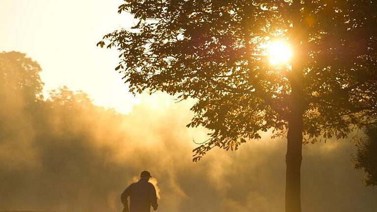 Am Morgen ist die Pollenbelastung oft deutlich niedriger - ein Segen für Allergiker. Foto: Sebastian Kahnert/dpa-Zentralbild/dpa-tmn       -  Joggen gehen und dabei ein paar Sprints einbauen? Um das Hungergefühl zu unterdrücken, sollten sie es sich überlegen