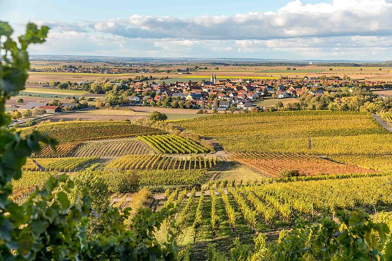 Herbstlicher Blick auf das fränkische Winzerdorf  Hüttenheim.