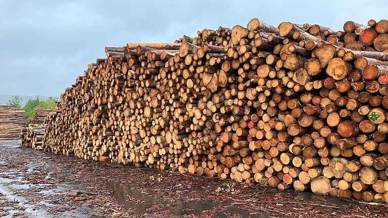 In der ehemaligen Kaserne sind die Fichtenstämme in Holzquarantäne.       -  In der ehemaligen Kaserne sind die Fichtenstämme in Holzquarantäne.