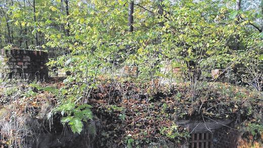 Holzkohle als Benzinersatz