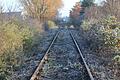 Teilweise völlig zugewachsen war die Strecke der Steigerwaldbahn entlang von Großlangheim. Jetzt wurde sie wieder frei geschnitten, womit allem Anschein nach die Voraussetzungen für den Abbau der Schienen geschaffen wurden