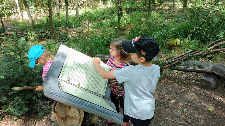 Der Wald erzählt viele Geschichten, auch in diesem hölzernen Buch. Der Wald erzählt viele Geschichten, auch in diesem hölzernen Buch.