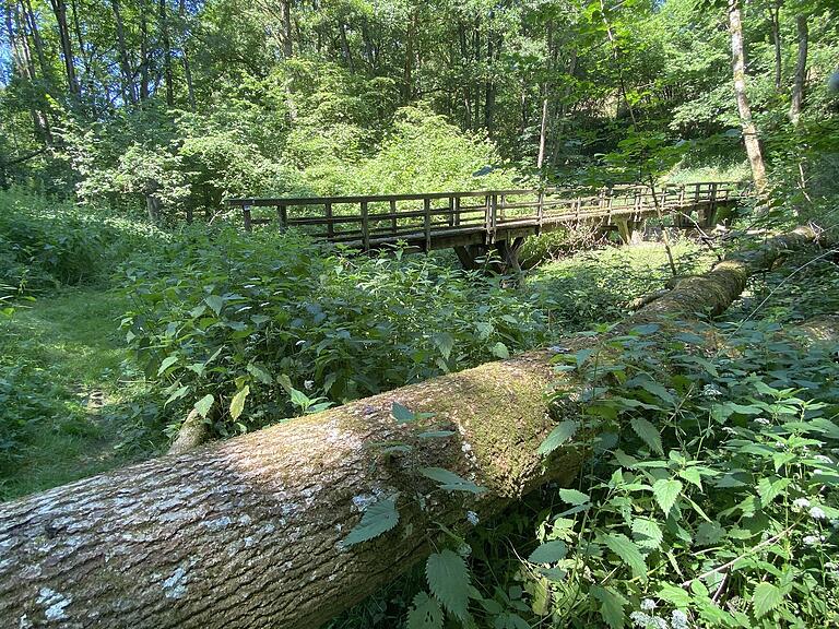Der Wald im Tal hat mancherort etwas von einem Urwald. Wanderer müssen schon mal über umgestürzte Bäume klettern. Der Wald im Tal hat mancherort etwas von einem Urwald. Wanderer müssen schon mal über umgestürzte Bäume klettern.