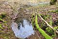 Der Bund Naturschutz hat startet ein Quellenschutzprojekt       -  Die Kreisgruppe des Bund Naturschutz startet im Frühjahr ein Quellenschutzprojekt.  In Bad Kissingen, Münnerstadt und Nüdlingen sollen alle Quellen, wie hier die nur zeitweise wasserführende Dippachquelle im Münnerstädter Tal, kartiert werden.