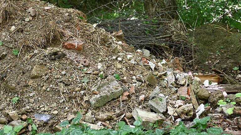 Bereits im Sommer 2022 meldete ein Spaziergänger diesen illegalen Müllberg bei Büchold.