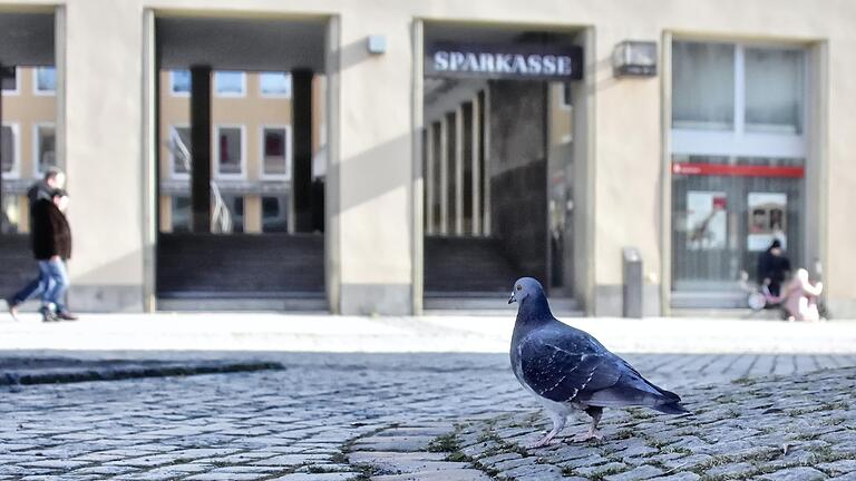 Die Stadt Schweinfurt ist für ihre Stadttauben zuständig, muss sie füttern – so argumentieren manche Tierschützer, und genau das stand auch in einer Strafanzeige gegen Verantwortliche der Stadt.