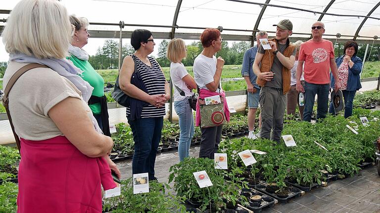 Die Vielzahl der Tomatensorten in der Raritäten-Gärtnerei Schwarzach am Main ist überwältigend. Martin Schäfer erklärte den Ausflüglern aus Hausen und Umgebung einige der Sorten besonders.