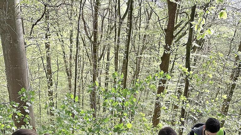 Auszubildende des Labors LS durchforsten den Bad Bockleter Wald nach Müll.       -  Auszubildende des Labors LS durchforsten den Bad Bockleter Wald nach Müll.