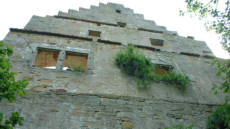 Verwunschen wirkt die Schlossruine in Wässerndorf.