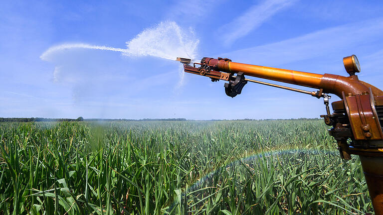 Die Regierung von Unterfranken rät seit 2020, Wasserentnahmen aus dem Grundwasser für die landwirtschaftliche Bewässerung auf fünf Jahre zu befristen.