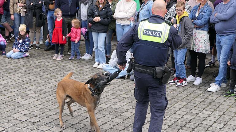 Sprengstoffsuchhund 'Spock' war der Star bei der Vorführung mit Diensthundeführer Benjamin Müller.