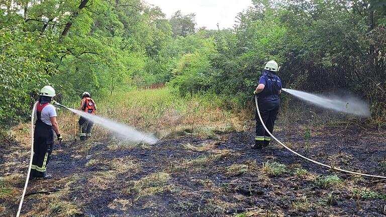 Ein kleiner Wiesenbrand in Mittelsinn war schnell gelöscht.