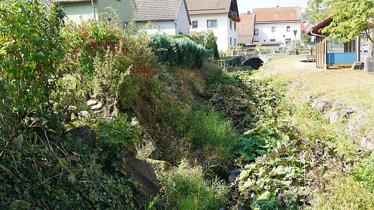 Die Brend in Frankenheim ist zugewachsen, es wird befürchtet, dass es bei Regenfällen zu einem Aufstauen kommen könnte.