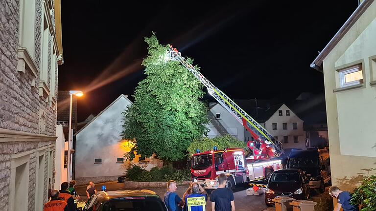 Noch in der Nacht sicherten die Einsatzkräfte der Feuerwehr in Heßlar beschädigte Bäume. Noch in der Nacht sicherten die Einsatzkräfte der Feuerwehr in Heßlar beschädigte Bäume.