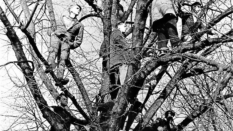 Selbst die Bäume neben dem Spielfeld des FC Haßfurt wurden 1961 zur 'Tribüne', als der FC Haßfurt auf den FC Bamberg traf.