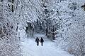 Die verschneite Winterlandschaft der Rhön lädt zum Wandern und Genießen ein.