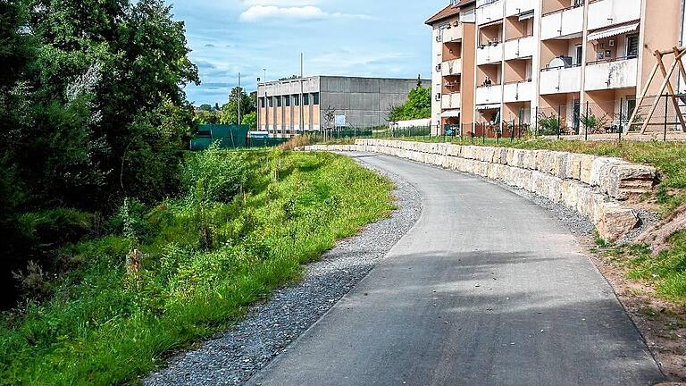 Die Altlast zwischen Wern und Euerbacher Straße ist abgefahren. Knapp 10 000 Tonnen Erde wandere auf die Deponien. Die Altlast zwischen Wern und Euerbacher Straße ist abgefahren. Knapp 10 000 Tonnen Erde wandere auf die Deponien.
