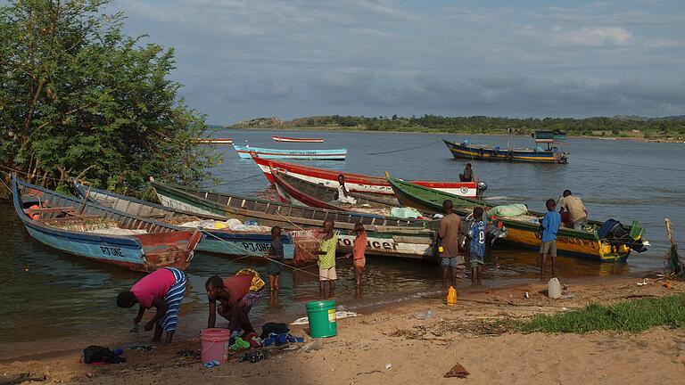 Auf der großen Insel Ukerewe werden zentrale  Projekte des neuen Zentrums zur Bekämpfung der Tropenkrankheit  Schistosomiasis durchgeführt.