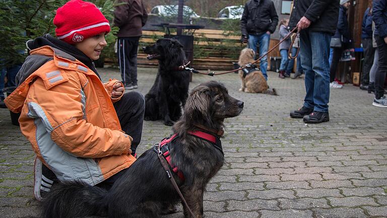 Vierbeiner, Kinder und Erwachsene hatten gleichermaßen ihren Spaß bei der Pfötchenweihnacht des Lohrer Tierheimes.