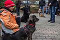 Vierbeiner, Kinder und Erwachsene hatten gleichermaßen ihren Spaß bei der Pfötchenweihnacht des Lohrer Tierheimes.