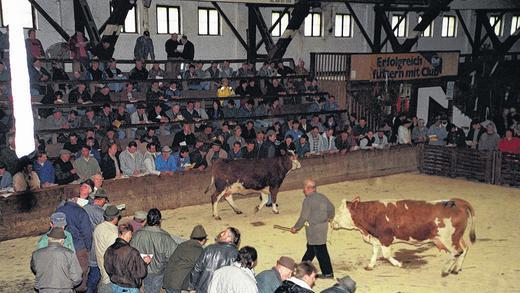 Kulturtempel der Zukunft? 1999 fand die letzte Vieh-Auktion in der Würzburger Frankenhalle statt. Sie soll fürs Mainfranken Theater hergerichtet werden. Doch neuerdings regt sich wieder Widerstand gegen das Projekt.