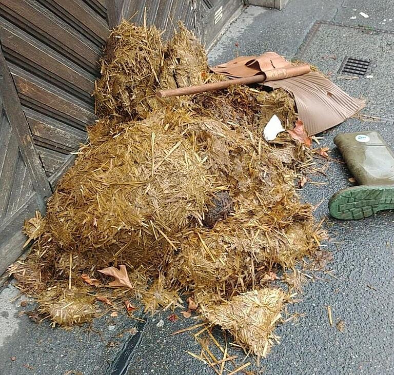 Misthaufen vor dem Büro der Grünen in der Würzburger Textorstraße. Misthaufen vor dem Büro der Grünen in der Würzburger Textorstraße.